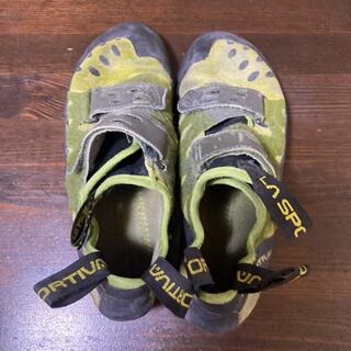 スポルティバ(LA SPORTIVA)のスポルティバ タランチュラ クライミングシューズ(登山用品)