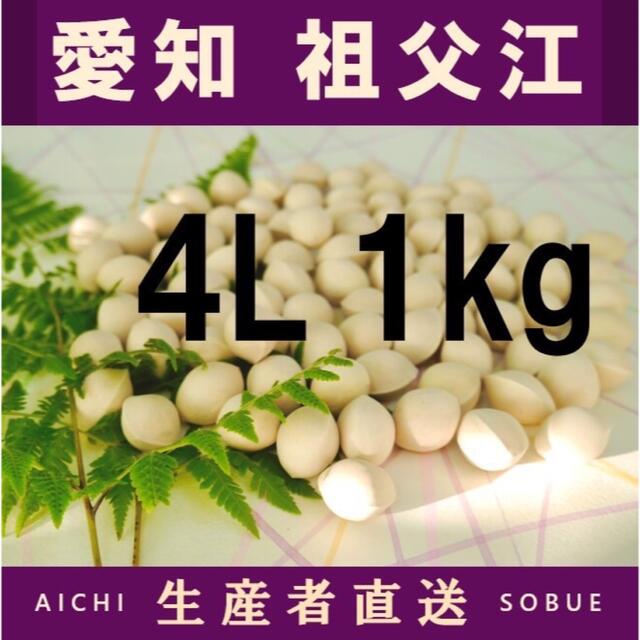 2022年新物　生産者直送 久寿ぎんなん 愛知県 祖父江産 銀杏 4L 1kg 食品/飲料/酒の食品(野菜)の商品写真