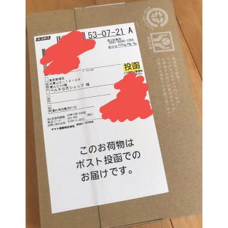 届いたばかりBELTA ベルタ葉酸サプリ　一袋30日分(その他)