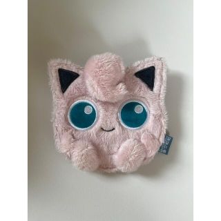 ポケモン(ポケモン)のあいりたん様　専用(ミラー)