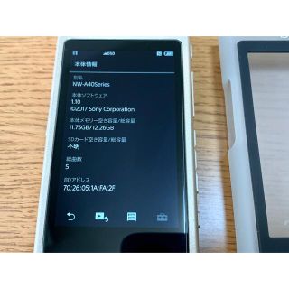 SONY ウォークマン Aシリーズ NW-A45(N) 純正ケーブル付き