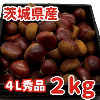 茨城県産★ブランド栗🌰秀品４Lサイズ２kg(フルーツ)