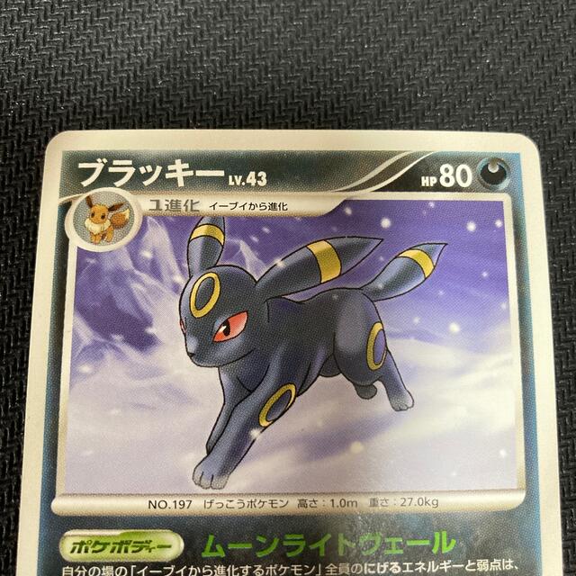 ポケモンカード ブラッキー Lv43