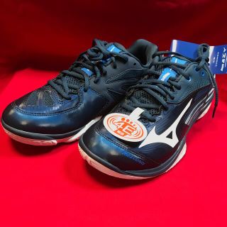 ミズノ(MIZUNO)のバドミントン　ミズノ　シューズ　71GA211301 ブルー　26.0cm(バドミントン)