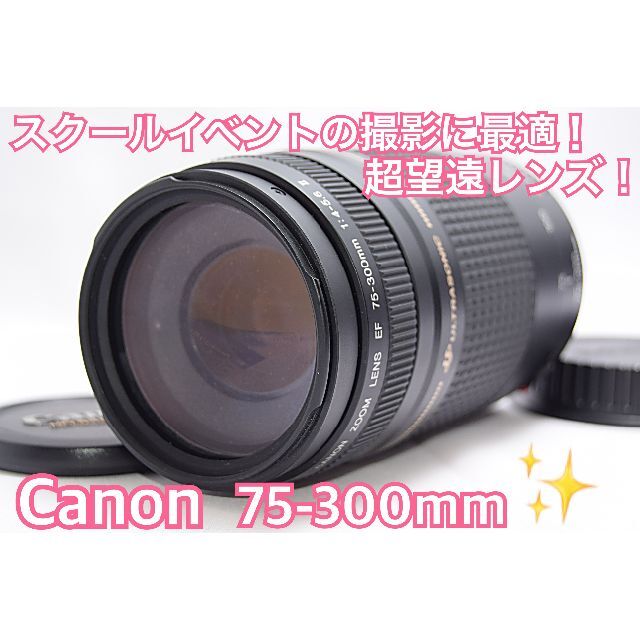 キヤノン Canon EF75-300mm 望遠レンズ 各種イベントに大活躍