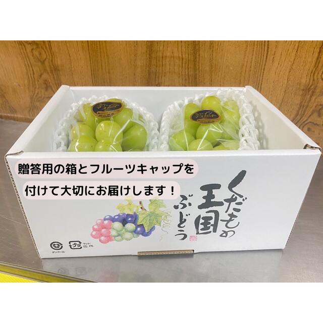 www.haoming.jp - シャインマスカット 朝採り 秀品 直送 山梨県産 1kg