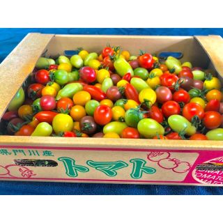 ジュンコボ様専用　朝採れカラフルミニトマト9kg(野菜)