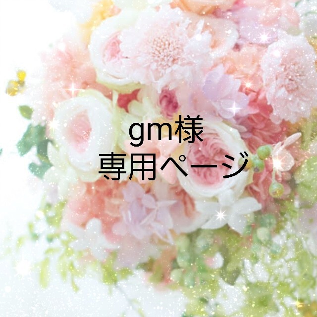 gm様専用ページの通販 by ちょこ's shop|ラクマ