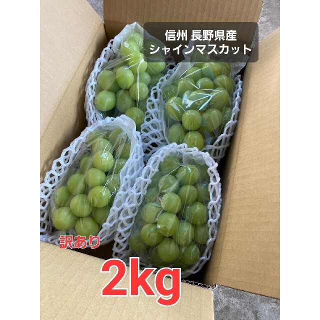 長野県産　シャインマスカット　訳あり 加工用出品　2kg