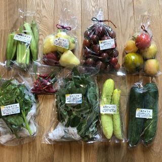 無農薬&固定種野菜セット 80cmサイズ 長野県産の通販 by くまさん ...