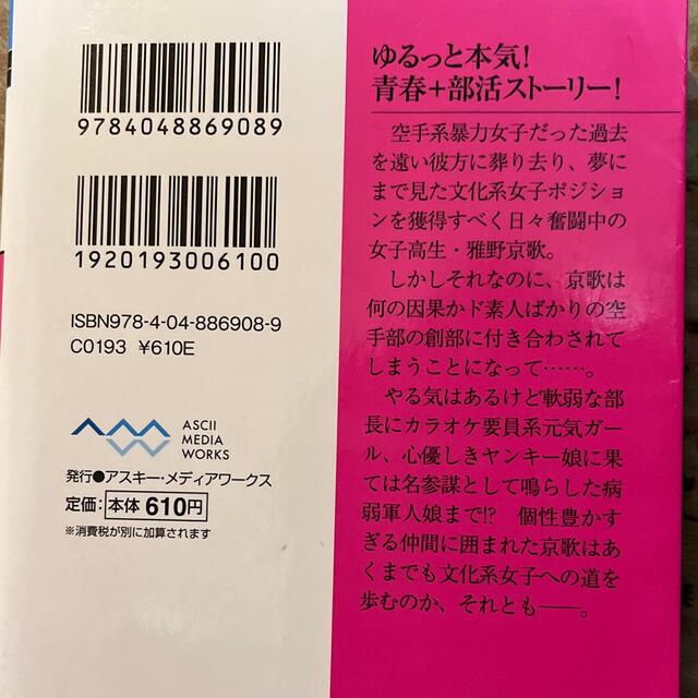 アスキー・メディアワークス(アスキーメディアワークス)の不完全ナックル エンタメ/ホビーの本(文学/小説)の商品写真