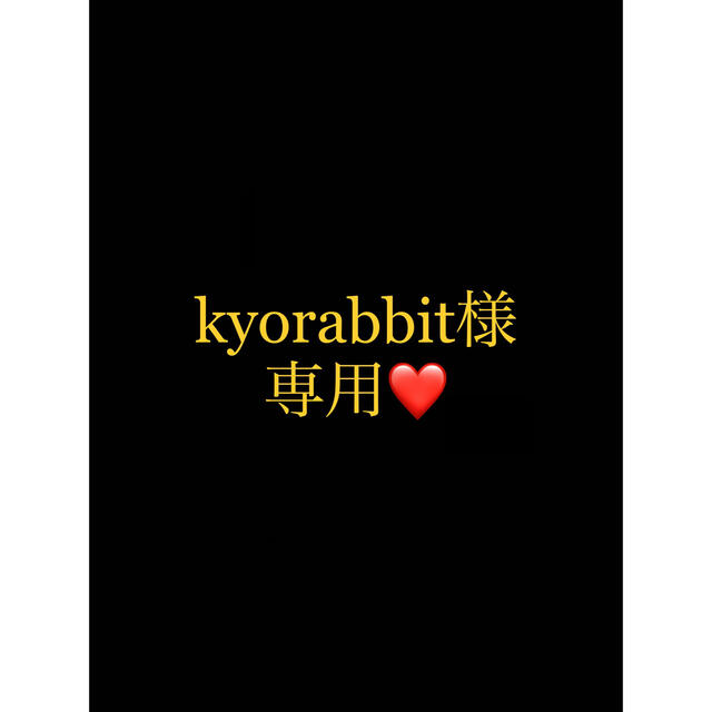 kyorabbit様専用ページ - dgdt-bf.org