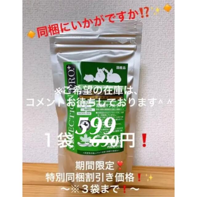 当店は最高な サービスを提供します バニーセレクションプロ グルテンフリー スーパーシニア 試食品 バニーセレクションプロスーパーシニア グルテンフリー