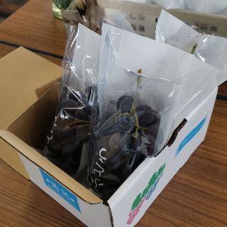 残りわずか　茨城県産巨峰ブドウ2キロ　種有り葡萄　ぶどう　説明を必ずお読み下さい(フルーツ)