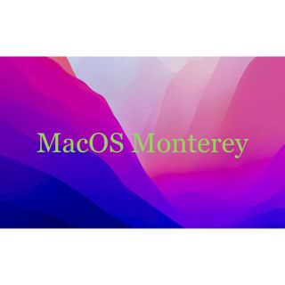 バッファロー(Buffalo)のMacOS Catalina & Monterey インストールUSB(PC周辺機器)