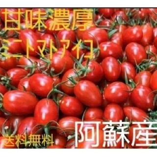 スーパー還元開催中！！怒涛の20%還元！！ミニトマトアイコ 1キロ(野菜)