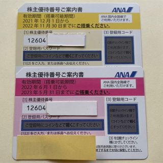 エーエヌエー(ゼンニッポンクウユ)(ANA(全日本空輸))のANA 株主優待　2枚(ショッピング)