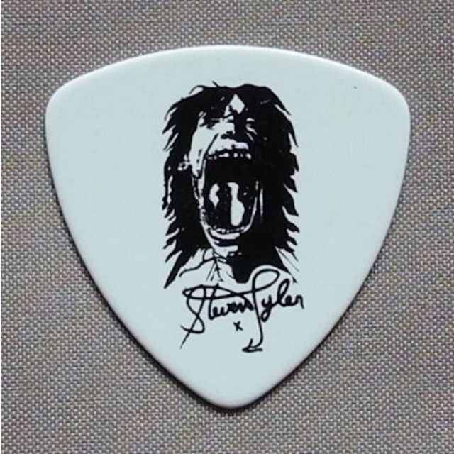 Aerosmith エアロスミス Steven ギターピック