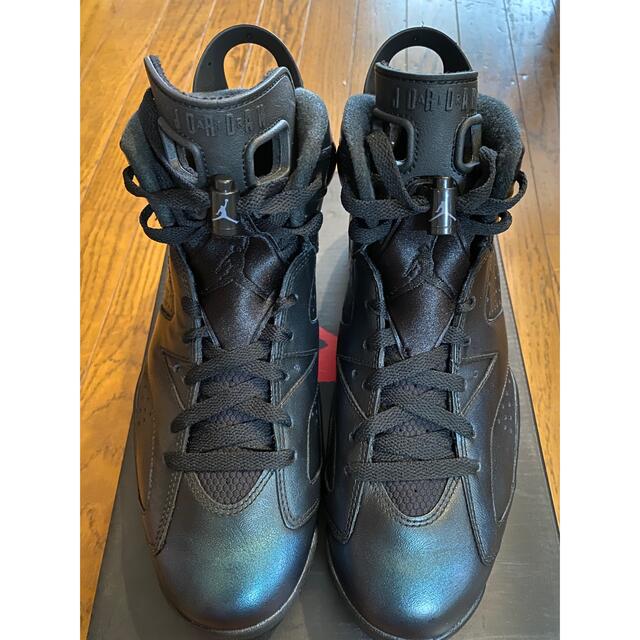 Jordan 6 Retro Chameleon 2017