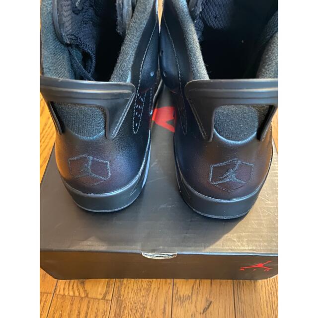 NIKE(ナイキ)の値下げ！Jordan 6 Retro Chameleon 2017 メンズの靴/シューズ(スニーカー)の商品写真