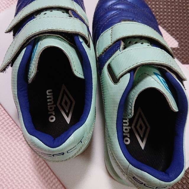 UMBRO(アンブロ)のUMBRO スニーカー 16.5-17cm キッズ/ベビー/マタニティのキッズ靴/シューズ(15cm~)(スニーカー)の商品写真