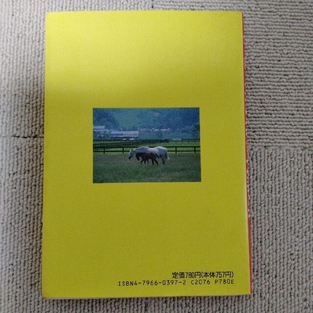 ファミリーコンピュータ(ファミリーコンピュータ)のファミコンベスト競馬ダービースタリオン攻略本2冊 エンタメ/ホビーのゲームソフト/ゲーム機本体(家庭用ゲームソフト)の商品写真