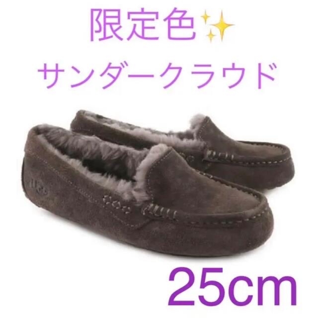 UGG(アグ)の新作 ウォータープルーフ UGG アンスレー サンダークラウド US8 レディースの靴/シューズ(スリッポン/モカシン)の商品写真