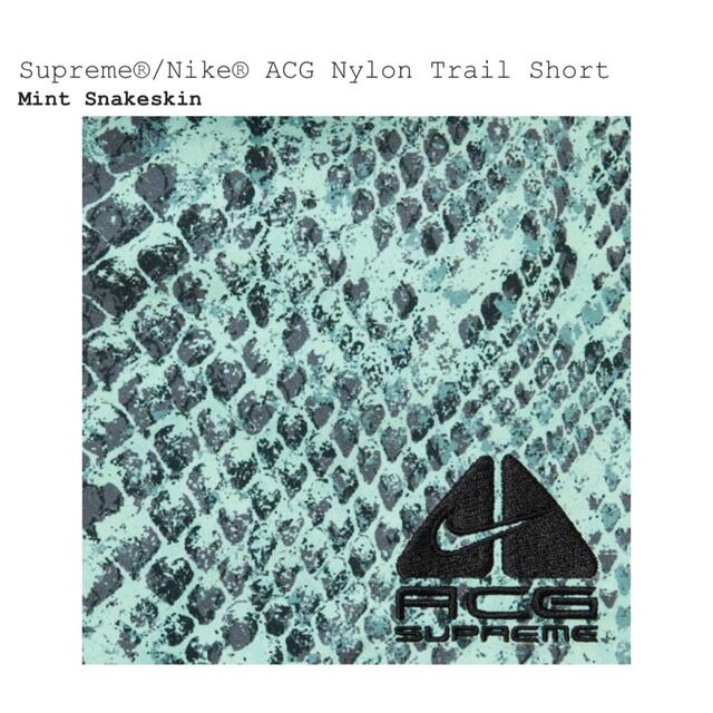 supreme NIKE ACG nylon trail short Mint