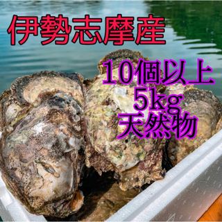 伊勢志摩産 岩牡蠣 岩カキ 岩ガキ 牡蠣 海産物 貝(魚介)