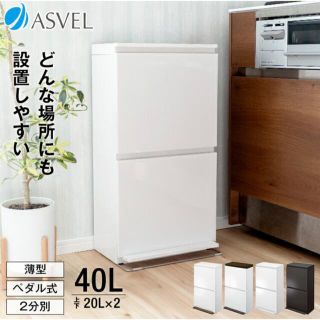 アスベル ダストボックス ゴミ箱 2分別 40L 収納ボックス ホワイト 白(ごみ箱)