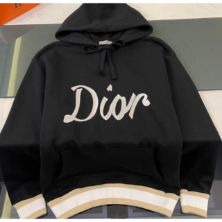 クリスチャンディオール(Christian Dior)のDIOR　クリスチャンディオール　ロゴ　フード付きパーカー男女兼用M(パーカー)