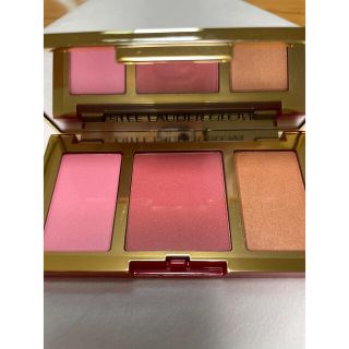 エスティローダー(Estee Lauder)のエスティーローダー　ピュアカラーエンヴィチークパレットグロウ(チーク)