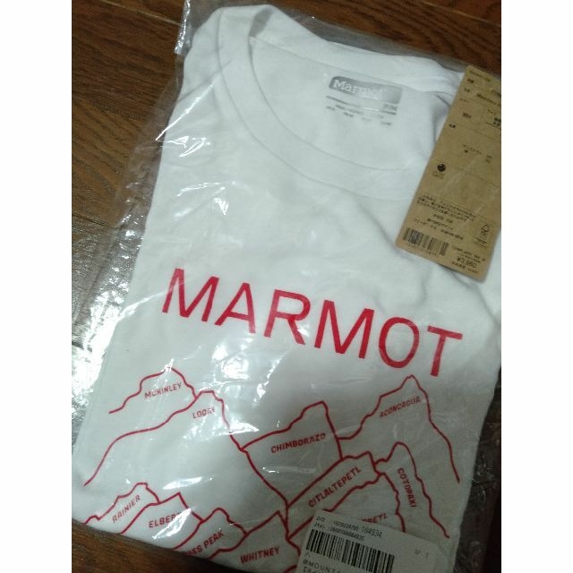 MARMOT(マーモット)のかなかなさん専用　マーモット Tシャツ M メンズのトップス(Tシャツ/カットソー(半袖/袖なし))の商品写真