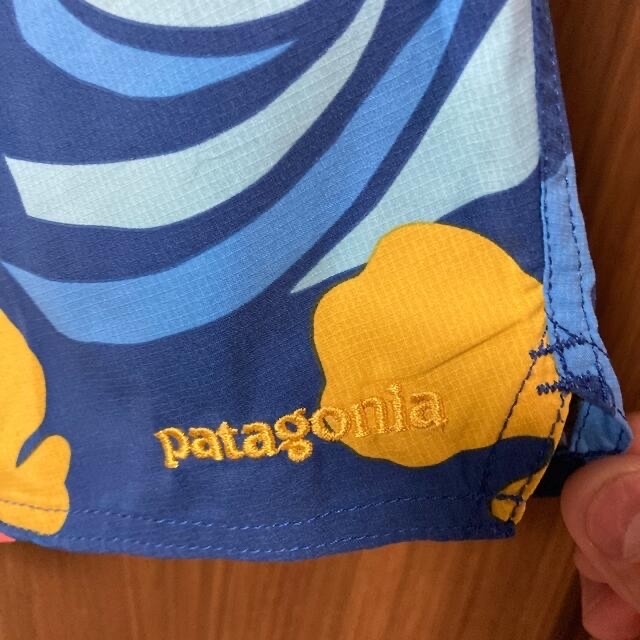 patagonia(パタゴニア)の【SSS様専用】パタゴニア　ショートパンツ メンズのパンツ(ショートパンツ)の商品写真