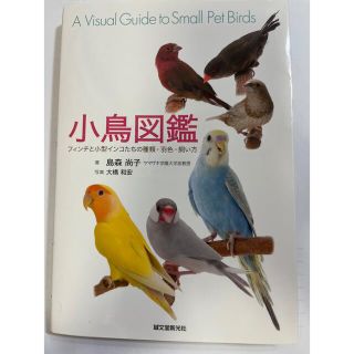 小鳥図鑑 フィンチと小型インコたちの種類・羽色・飼い方(住まい/暮らし/子育て)