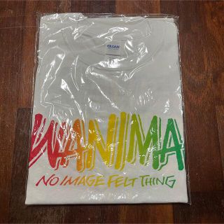 ワニマ(WANIMA)のWANIMA ワニマ　グッズ　tシャツ Lサイズ　ホワイト(ミュージシャン)