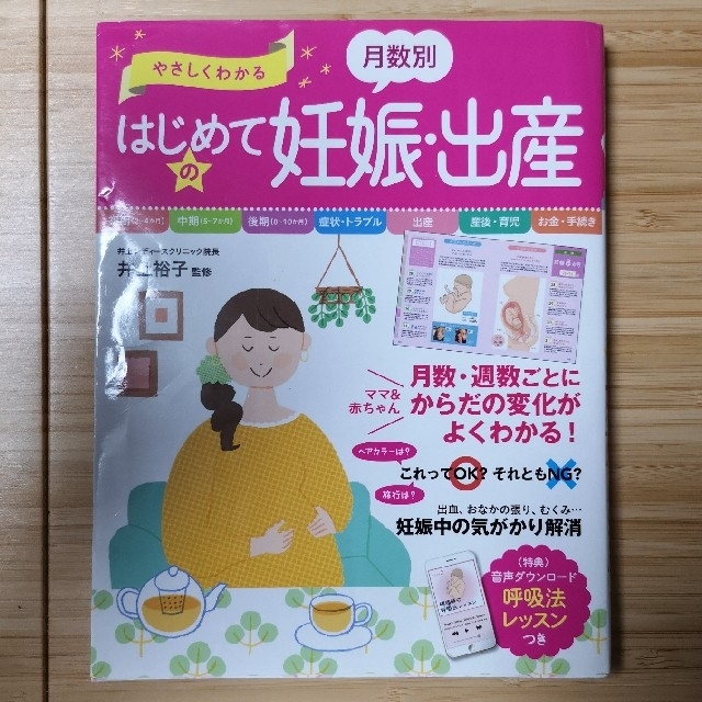 やさしくわかる月数別はじめての妊娠・出産 エンタメ/ホビーの雑誌(結婚/出産/子育て)の商品写真