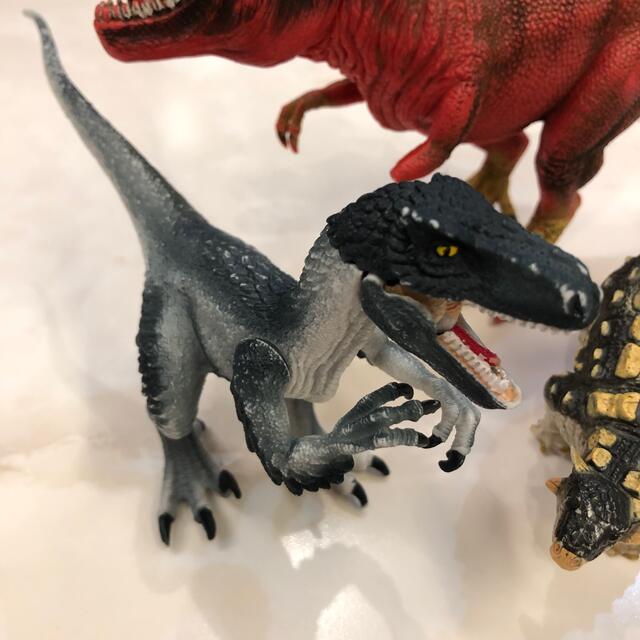 Favorite(フェイバリット)のシュライヒ　ティラノサウルス　ラプトル　フェバリット　アンキロサウルス エンタメ/ホビーのおもちゃ/ぬいぐるみ(キャラクターグッズ)の商品写真