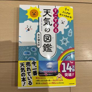 すごすぎる天気の図鑑 空のふしぎがすべてわかる！(その他)