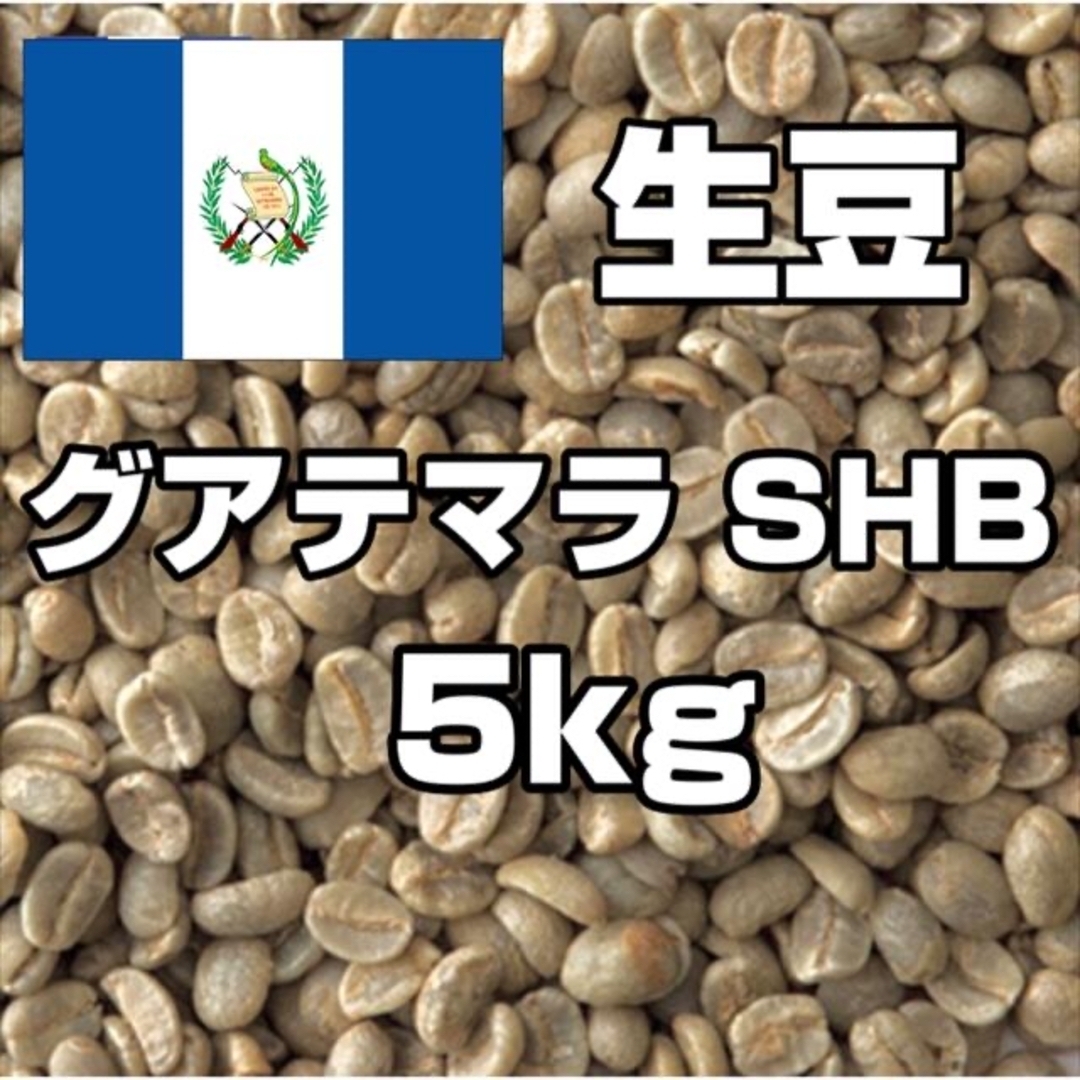 【コーヒー生豆】グアテマラ SHB 5kg　 ※送料無料！！