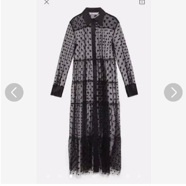 ZARA(ザラ)のZARA ザラ　新品　未使用　シースルー　ドット　ワンピース　水玉　チュール レディースのワンピース(ロングワンピース/マキシワンピース)の商品写真