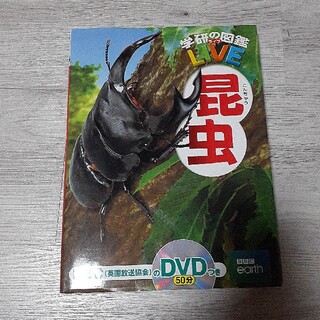 昆虫図鑑(絵本/児童書)