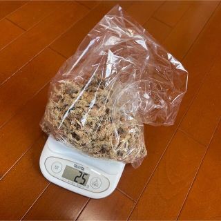 水苔 ミズゴケ 乾燥水苔 チリ産(その他)