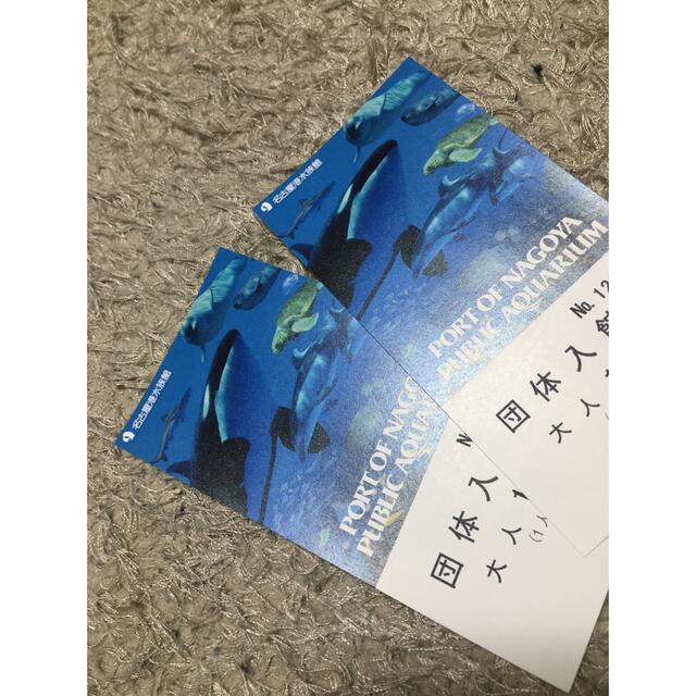 名古屋港水族館 入館券2枚 bluke.com.br