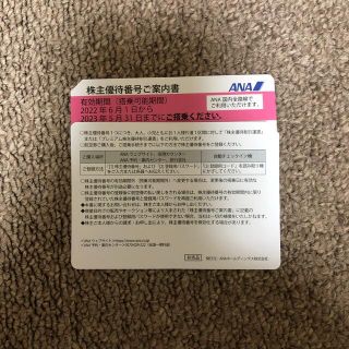 エーエヌエー(ゼンニッポンクウユ)(ANA(全日本空輸))のANA 株主優待　ちい様専用(その他)