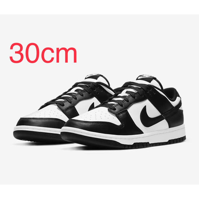 【希少サイズ】Nike Dunk Low Retro