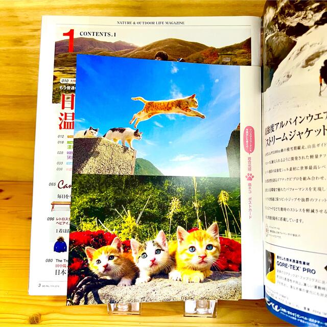 小学館(ショウガクカン)のBE-PAL ビーパル 2015年1月号 エンタメ/ホビーの雑誌(趣味/スポーツ)の商品写真