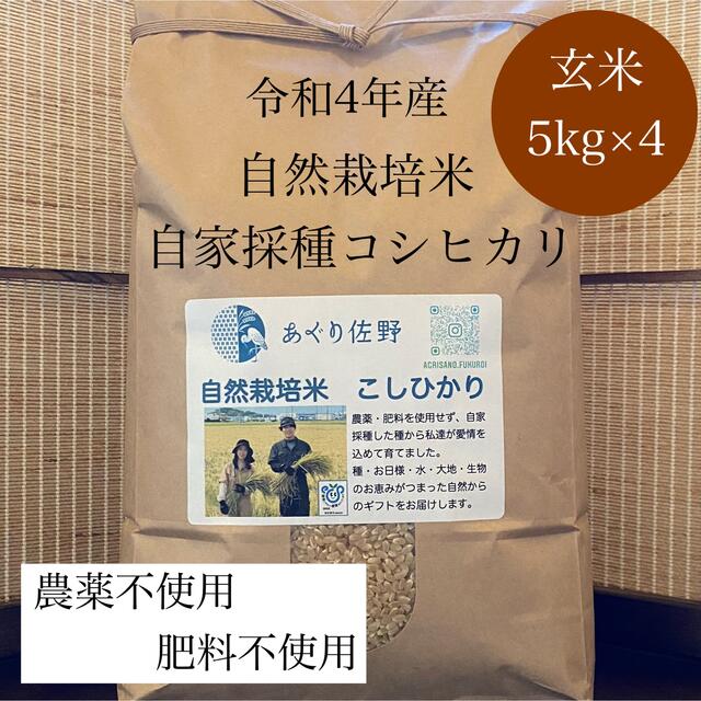 令和4年新米　玄米5kg×4　コシヒカリ　自然栽培米　農薬不使用・肥料不使用　米/穀物