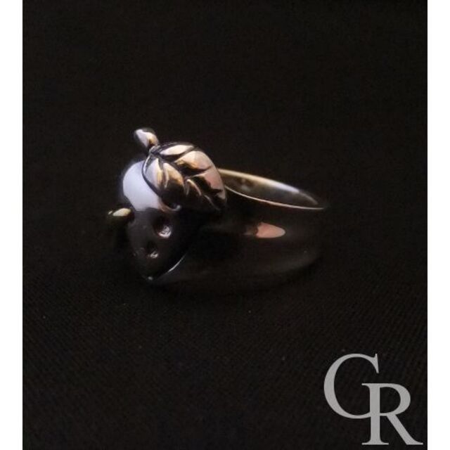 Ring(o) de Heart(リンゴ・デ・ハート) | rgbplasticos.com.br