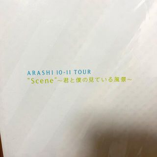 アラシ(嵐)の嵐　10-11 TOUR パンフレット(アイドルグッズ)